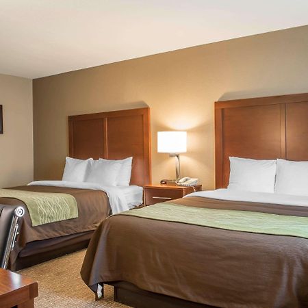 Comfort Inn Edinburg South Exteriör bild