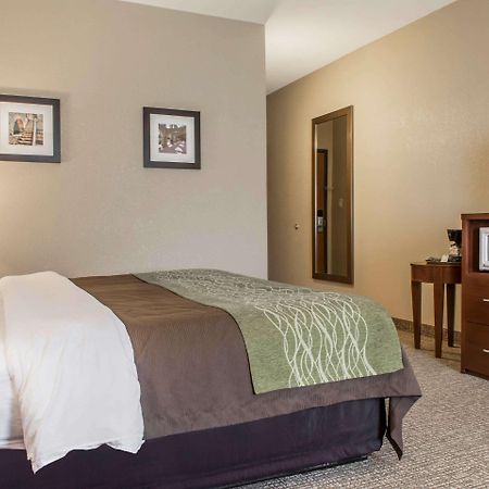 Comfort Inn Edinburg South Exteriör bild