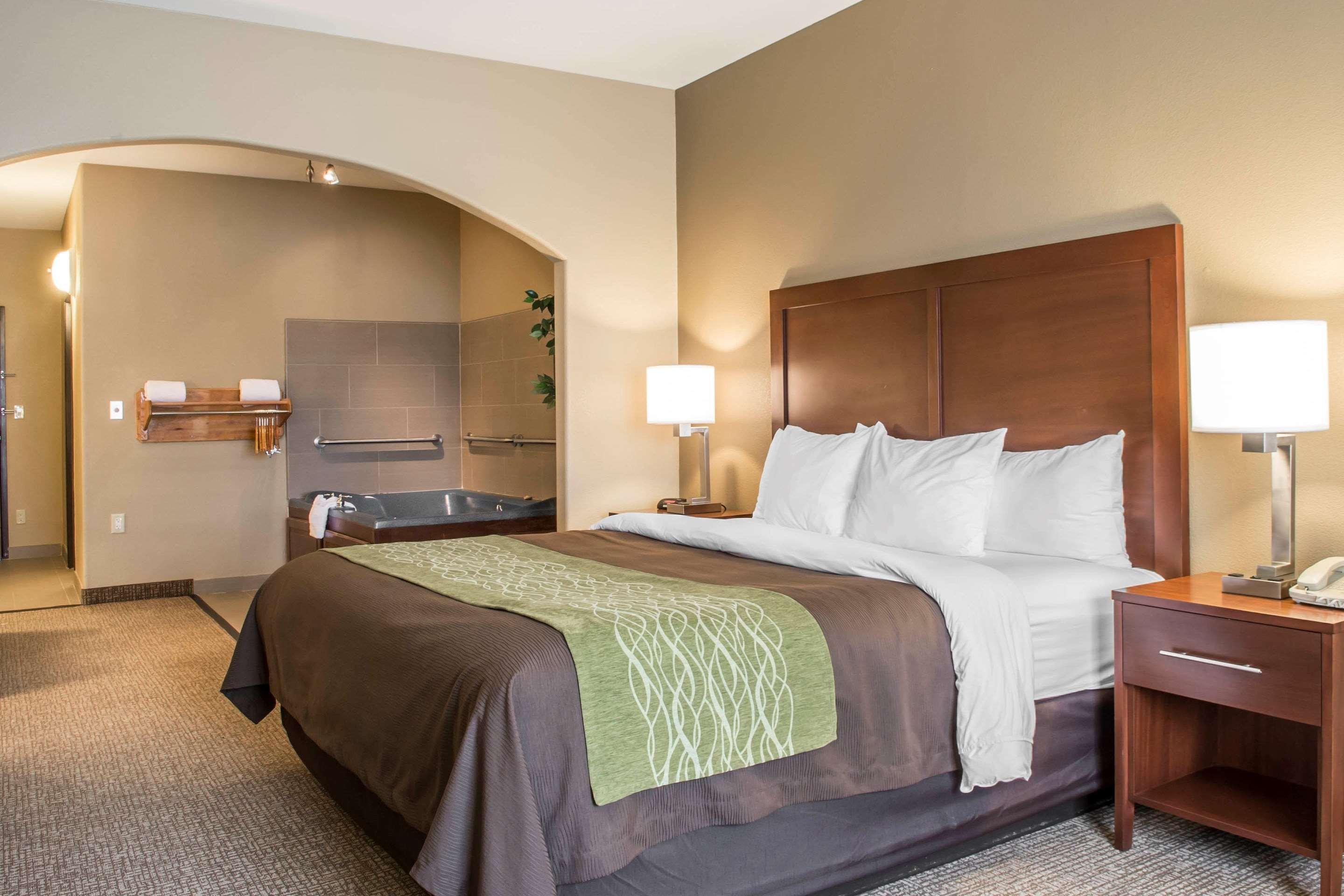 Comfort Inn Edinburg South Exteriör bild