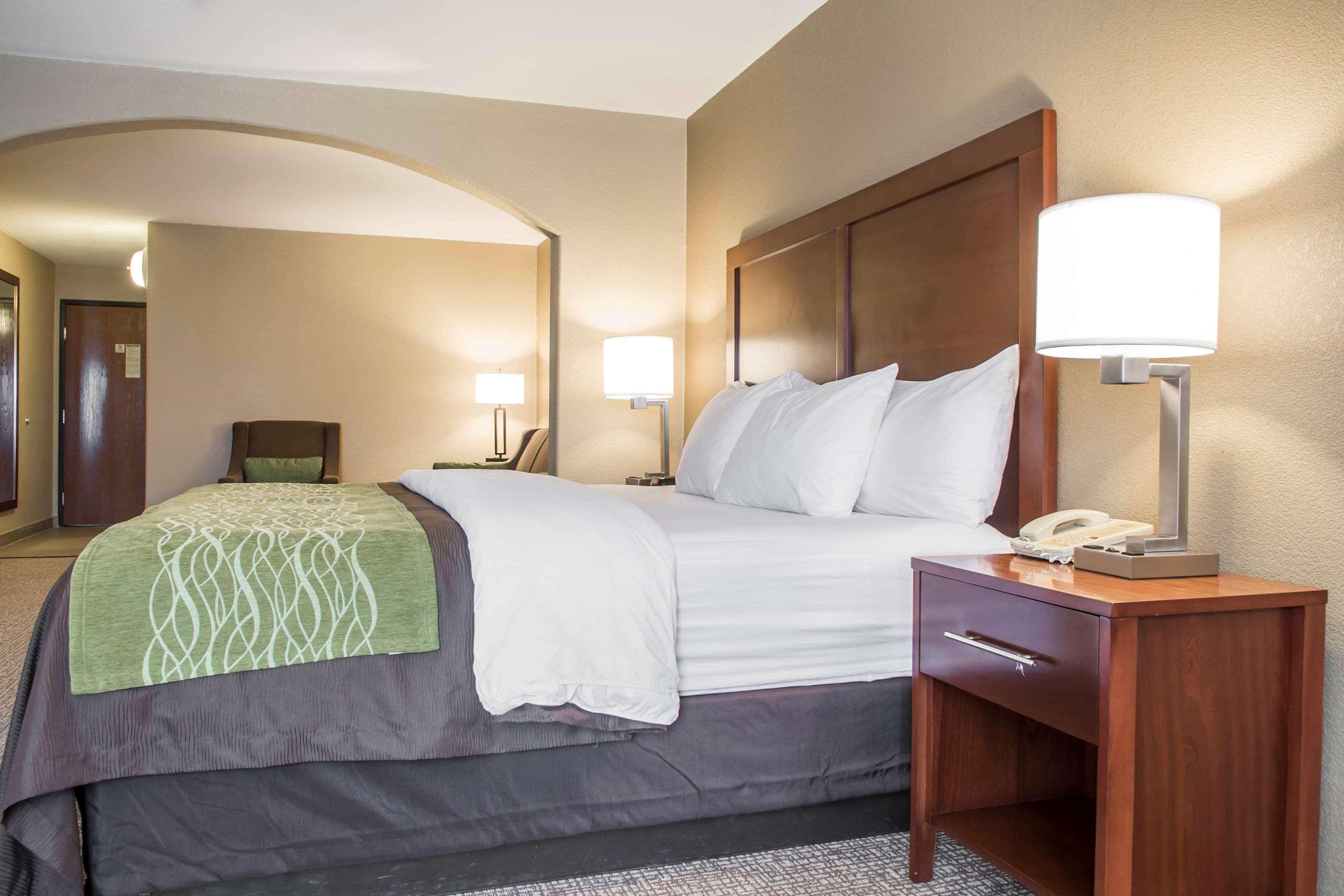Comfort Inn Edinburg South Exteriör bild