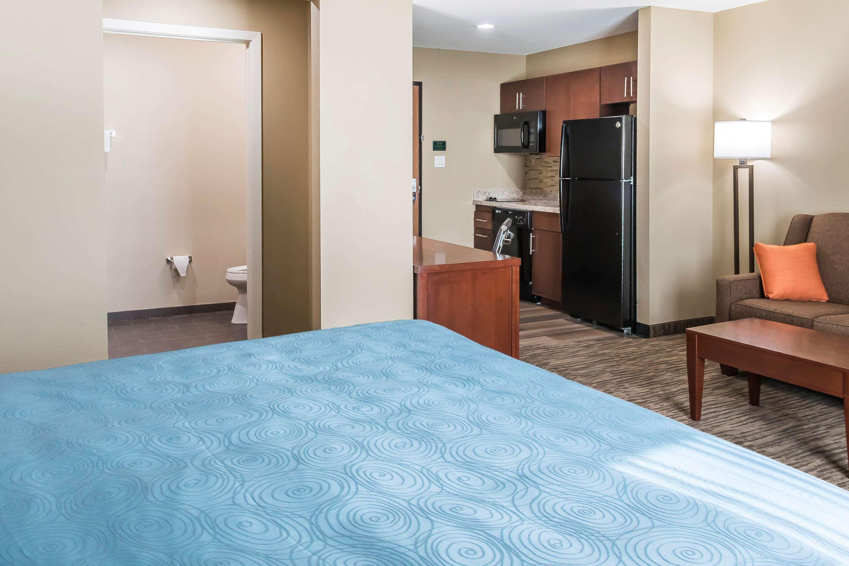 Comfort Inn Edinburg South Exteriör bild